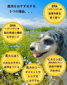 犬 おやつ ジャーキー ワンコ用 無添加鹿肉ジャーキー（モモ２個・カタ１個・スネ２個）　計５個セット【 犬 いぬ イヌ ペット ペット用 無添加 鹿肉 鹿 しかにく ジャーキー じゃーきー おやつ 犬用おやつ 犬用ジャーキー 神奈川県 山北町 】