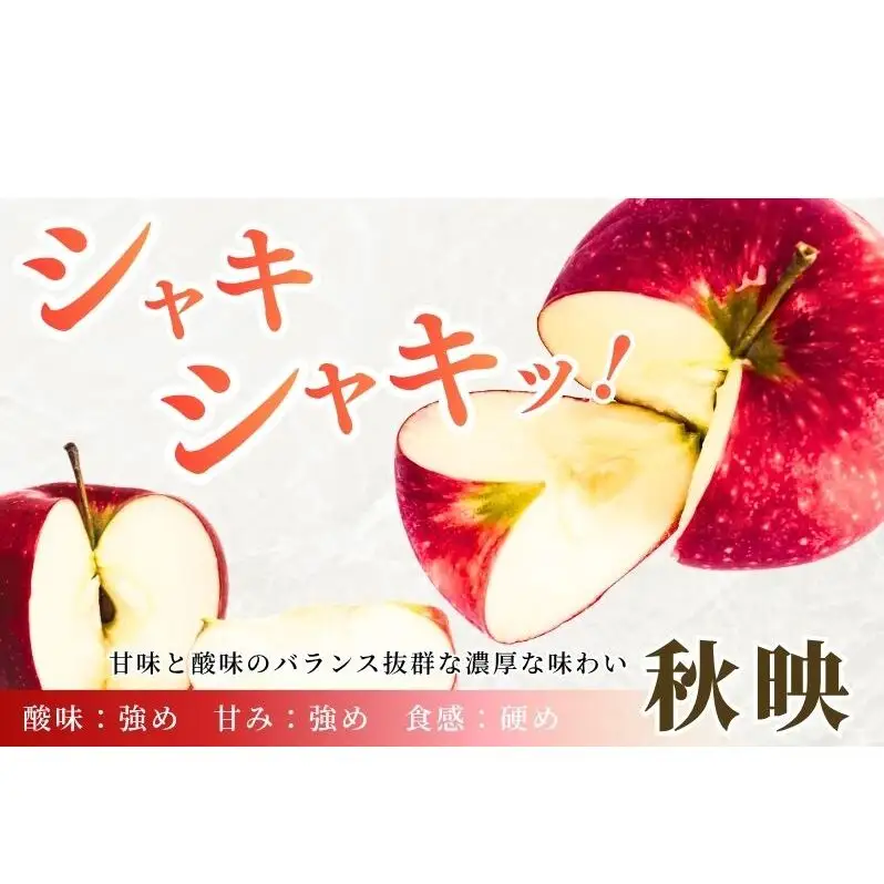 りんご 長野 贈答用 リンゴ 秋映 約4.5kg（16?18玉） 産地直送 ギフト プレゼント 贈答 贈答品 贈り物 フルーツ 果物 デザート あきばえ 秋 旬 信州 長野県 長野県産
