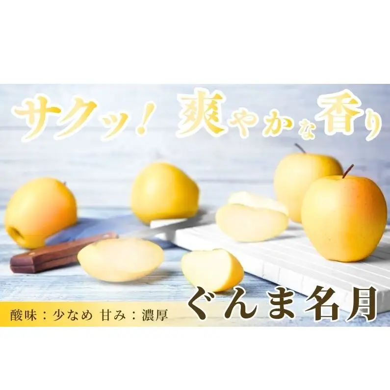 りんご 長野 贈答用 リンゴ ぐんま名月 約4.5kg（14玉～18玉） 産地直送 ギフト プレゼント 贈答 贈答品 贈り物 蜜 フルーツ 果物 デザート 林檎 秋 旬 信州 長野県
