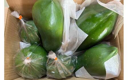 JJ001　宮古島産青パパイヤ（3kg）