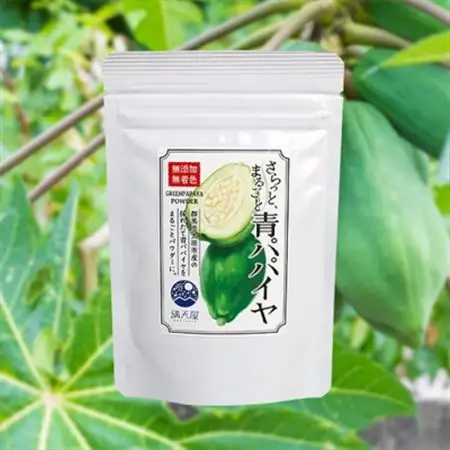 国産 青パパイヤパウダー 50g ～ さらっとまるごと青パパイヤ ～_惣菜・加工品   _【1483316】