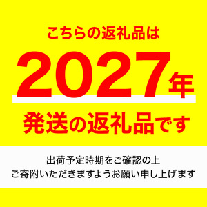 ＜先行予約！2027年2月下旬以降順次発送予定＞香川県産 不知火(約4kg) しらぬい 国産 果物 フルーツ ミカン 柑橘 新鮮【man093】【Aglio nero】
