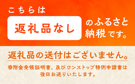 応援寄附金（返礼品なし）5,000円