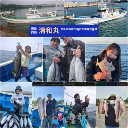 徳島清和丸 阿南沖釣り船 割引チケット×5枚セット_旅行券・チケット 釣り 体験チケット _【1494667】