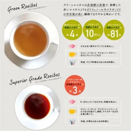 オーガニックルイボスティー グリーン 3g×80包 ティーバッグ タグ紐なし 煮出し 水出し可能_飲料・ドリンク 茶葉・ティーバッグ 紅茶 _【1470561】
