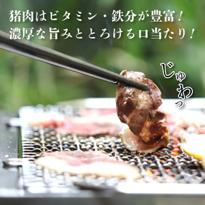 猪肉スライス 300g（約2人前）【 猪肉 ジビエ   猪肉 ジビエ  猪肉 ジビエ  猪肉 ジビエ  猪肉 ジビエ】