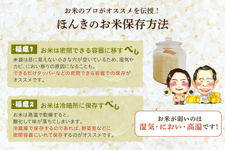 【令和7年産】浜田市産きぬむすめ10kg お取り寄せ 一等米 特産 米 お米 精米 白米 ごはん ご飯 コメ 新米 10キロ 10kg 10キロ 【197_1957】