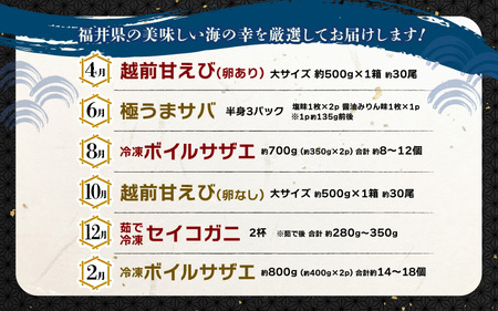 定期便 ≪年6回お届け≫ 海鮮定期便 偶数月にお届け 海鮮福袋  [m17-g009]