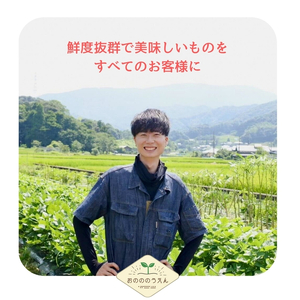 【2026年発送分予約】京都府産　新生姜 2kg 栽培期間中 農薬 化学肥料 除草剤不使用 生姜 しょうが 酢漬け 薬味 野菜 紅茶 ガリ チューハイ 健康 国産 おつまみ