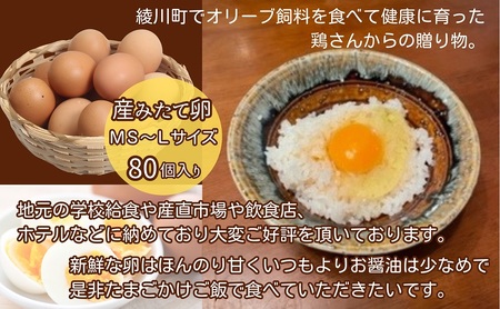 オリーブたまご80個　オリーブ飼料を食べて健康に育った鶏さんからの贈り物 