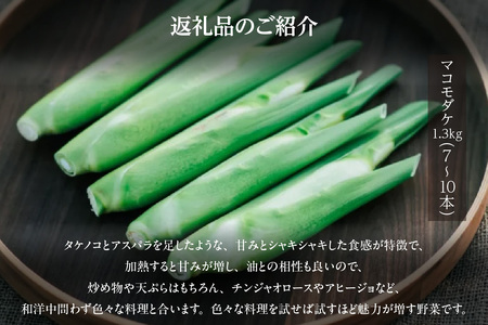 知立市特産　マコモタケ(1.3kg)　（7～10本）（3395）
