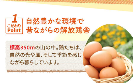 【6回定期便】あっぱれ卵 80個 /いとう養鶏場 [UAQ004] 卵