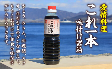 醤油 調味料3本セット各500mL 濱口醤油[XAA002]