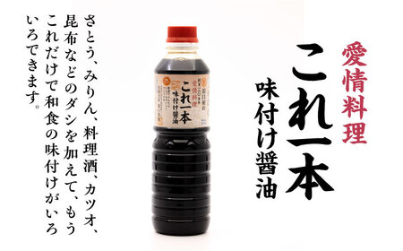 【全3回】醤油 簡単味付けセット 1L×2種 濱口醤油[XAA020]