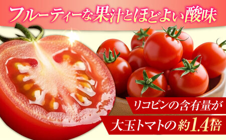 ミディアムトマト  2kg トマト[XAB002]