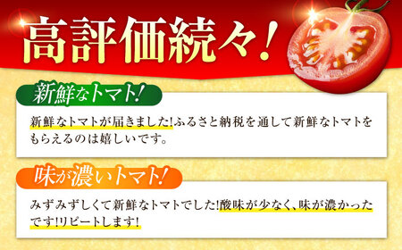 トマト 江田島ロマーノ 2kg トマト[XAB005]