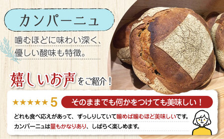 【全12回】パン詰め合わせB パン[XAQ012]