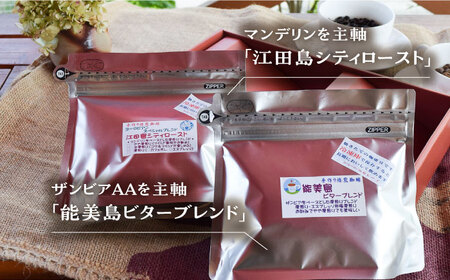 【全12回】ブレンドコーヒー2種 豆or粉 コーヒー[XBE031]
