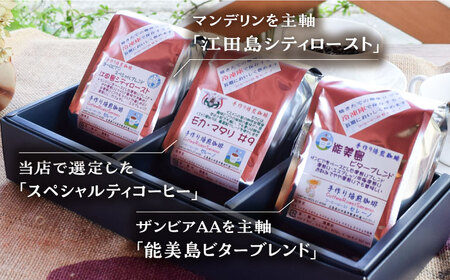 【全12回】コーヒー スペシャルティセット3種 豆or粉 コーヒー[XBE034]