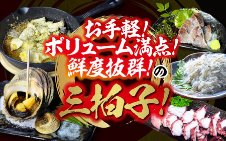 海鮮詰合せ 梅 海鮮[XBY001]