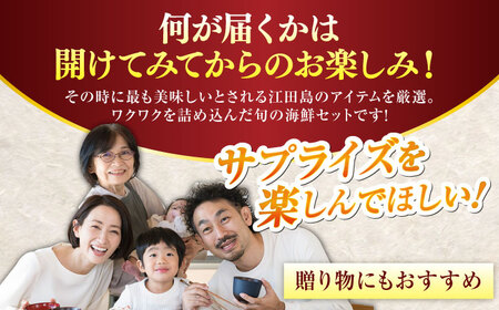 海鮮 旬の海の幸 寄附額1万円相当 海鮮[XBY004]