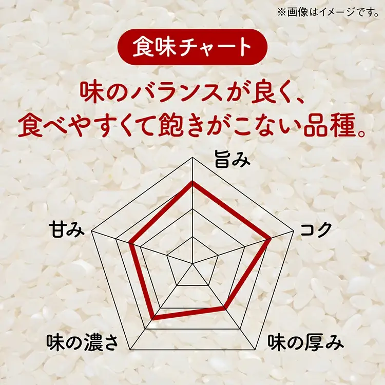 令和7年産 潟上市産あきたこまち（精米）10kg（5kg×2）【鐙惣米穀店】