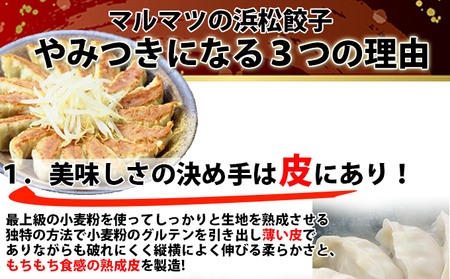 浜松餃子　120粒（定番の味　30粒×4袋）　総重量2.4kg！ 