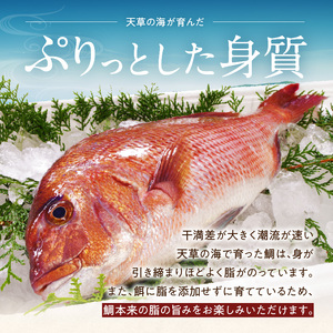 S010-080_真鯛ごま漬け6食セット