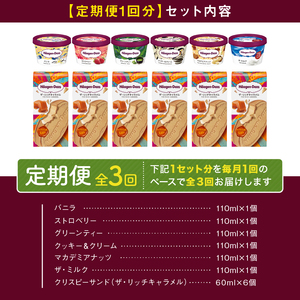 ＜全3回定期便・連続＞ハーゲンダッツ『ミニカップ＆クリスピーサンドセット(合計36個)』アイスクリーム アイス スイーツ デザート ミルクアイス アイススイーツ アイスデザート_H0016-137