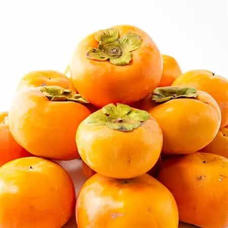 柿【先行受付】柳フルーツ園(訳あり)富有柿 約10kg_果物・フルーツ 柿（カキ）  かき_【1457253】