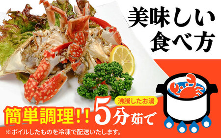 【2026年7月-発送】有明海のワタリガニ 200g-300g 長栄丸水産 [SFM001] ワタリガニ
