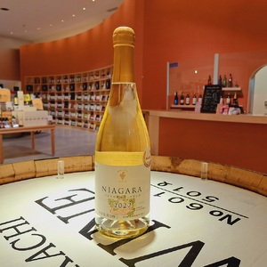 高評価5.0 十勝ワイン ナイヤガラスパークリング 1本 スパークリング スパークリングワイン