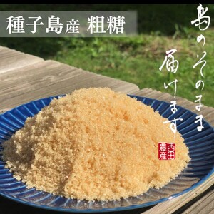 種子島 産 さとうきび 粗糖 西田農産 3kg　NFN559 【250pt】