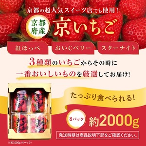 京いちご 約2kg いちご