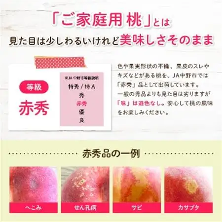 【2026年発送】JA中野市直送!ご家庭用　訳あり『桃』2.1kg以上(6～8玉)【配送不可地域：離島】【1482682】