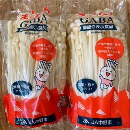 JA中野市産地直送!6種11パック入りきのこセット【中野市特産きのこセットできのこ食を習慣に】【配送不可地域：離島】【1487473】