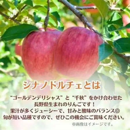 りんご シナノドルチェ 約5kg 家庭用(13玉～23玉)【1495967】