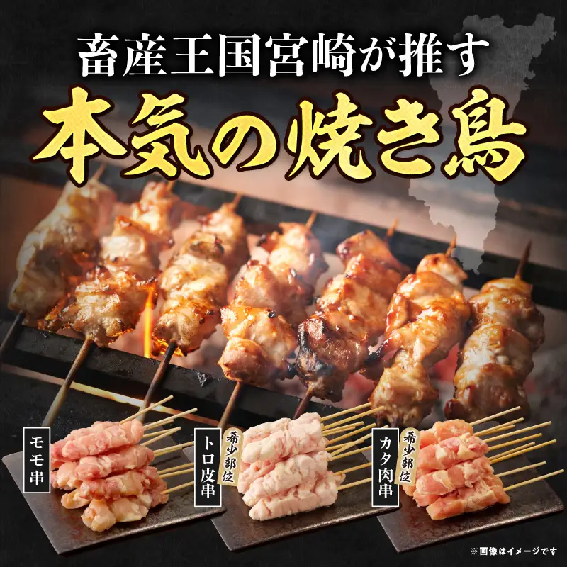 若鶏の焼き鳥3種(60本)盛り合わせ セット 詰め合わせ 食べ比べ 味比べ 焼鳥 鶏肉 肉 お肉 モモ トロ皮 カタ肉 串 串焼き BBQ キャンプ グランピング アウトドア グルメ おすすめ 宮崎市