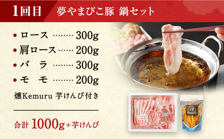 【定期便】「夢やまびこ豚」鍋セット 焼肉セット 各2回 | 豚肉 お肉 しゃぶしゃぶ 焼肉 冷蔵 幸田町 国産 送料無料