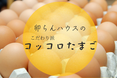 北海道 鶴居村産　卵らんハウスの心届ける　こだわり派のコッコロたまご
