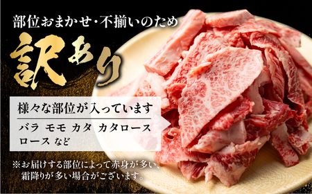 飛騨牛 焼肉 切り落とし 600g 焼肉  [S767]
