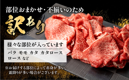 飛騨牛 切り落とし 500g 訳あり 駿河屋 訳あり [S768]