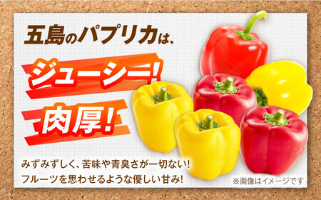 パプリカと旬の野菜・フルーツ詰め合わせ 五島市/HPIファーム [PCP011]  野菜 果物 やさい フルーツ 国産 新鮮 緑黄色野菜 産地直送 とれたて