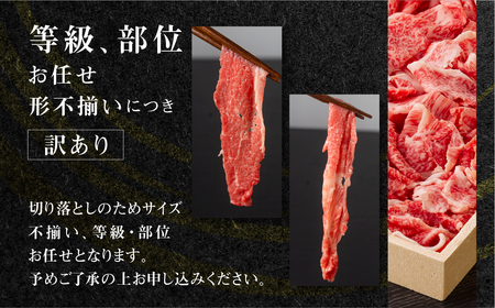 《定期便》全6回 飛騨牛 切り落とし 500g 訳あり 飛騨牛 [S713]