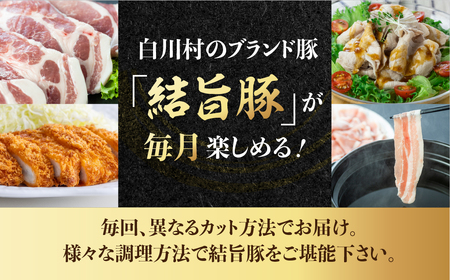 《定期便》全8回 白川郷 結旨豚 食べ比べ とんかつ しゃぶしゃぶ ブロック 切り落とし 食べ比べ バラ肉 ロース、肩ロース 豚肉 国産 白川村 真空パック 小分け 角煮 焼肉 ブランド豚 ゆいうまぶた 抗生物質 合成抗菌剤不使用 108000円 [S732] 豚肉 定期便 豚肉 定期便 豚肉 定期便 豚肉 定期便 