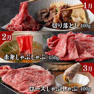 【定期便】宮崎牛　匠の堪能セット 12か月定期便 【 肉 牛肉 国産 黒毛和牛 宮崎牛 全12回 焼肉 しゃぶしゃぶ 焼きしゃぶ BBQ 宮崎県 川南町 】