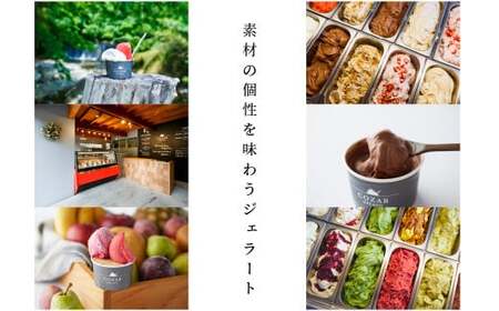 ジェラート おすすめ 6個 セット 手作り アイス 国産 詰め合わせ cb-gesxx6