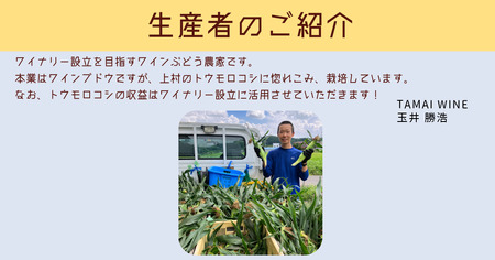 【 冷蔵 クール 】 朝採り トウモロコシ 熊さんのごちそうコーン 20本 ～ 22本 品種 ゴールドラッシュ 合同会社TAMAI WINE　配送先は本州限定 2026年7月下旬頃から2026年8月下旬頃までお申込み順に発送予定まで順次発送予定 令和8年度収穫分 信州 野菜 とうもろこし コーン 長野 予約 農家直送 長野県 飯綱町 [1787]
