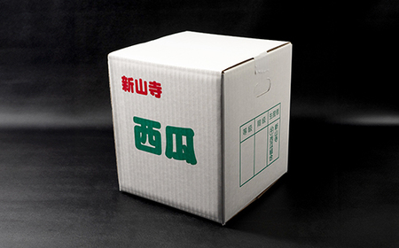 大玉すいか 新山寺すいか 4~5Lサイズ×1玉 令和8年産 山形県産 yd-suoxx4