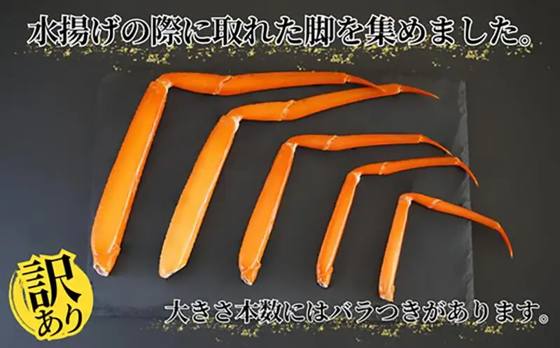 《先行予約》【訳あり】 香住ガニ 脚のみ 約1kg 【令和9年2月中旬以降発送予定】 カニ かに 07-118